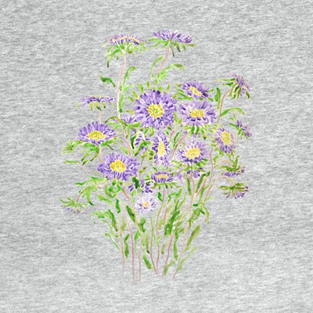 purple aster flowers watercolor by colorandcolor